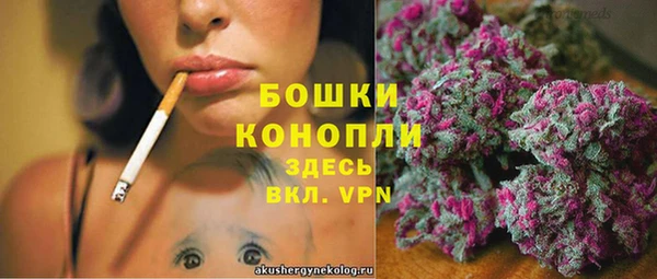 МДПВ Костерёво
