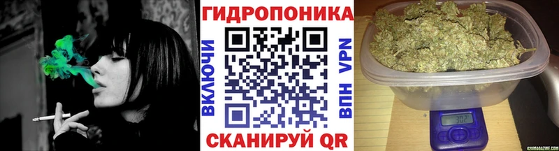 МАРИХУАНА сатива  как найти наркотики  Спас-Клепики 